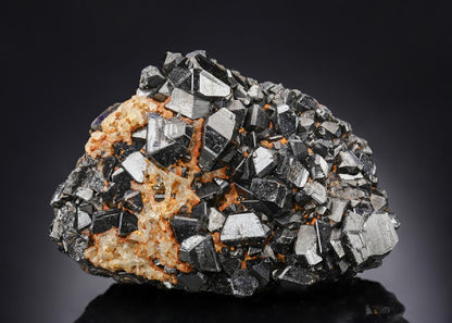 CC29993 specimen image