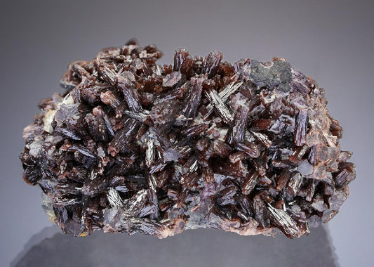 CC29997 specimen image