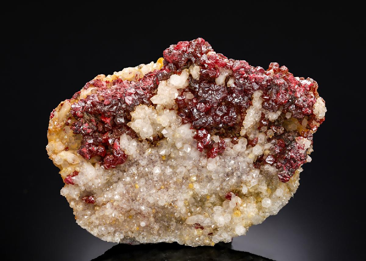 CC29999 specimen image