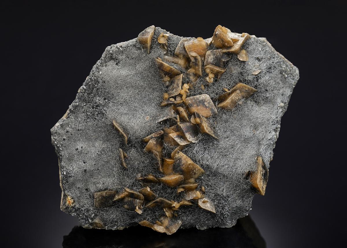 CC30001 specimen image