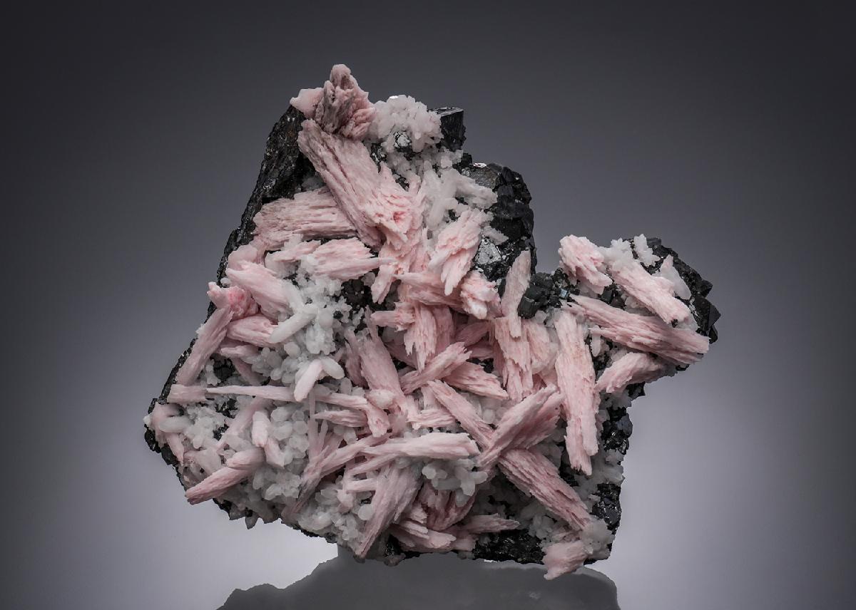 CC30007 specimen image
