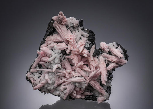 CC30007 specimen image