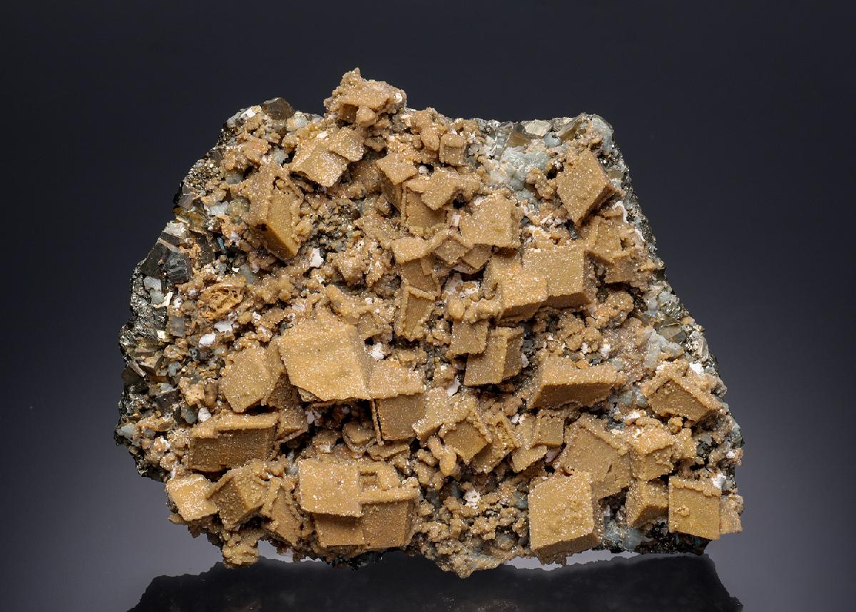CC30009 specimen image
