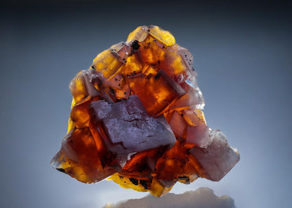 CC30011 specimen image