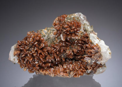 CC30015 specimen image