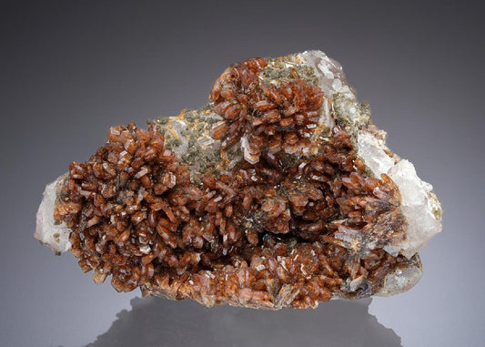 CC30015 specimen image