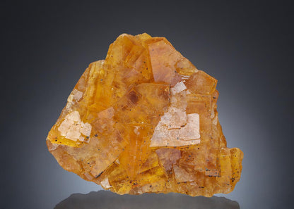 CC30019 specimen image