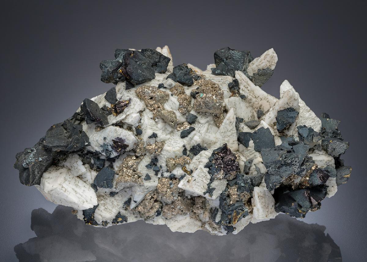CC30021 specimen image