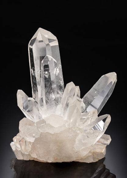 CC30027 specimen image