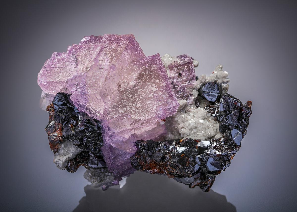 CC30043 specimen image