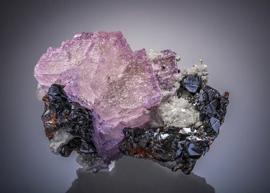 CC30043 specimen image