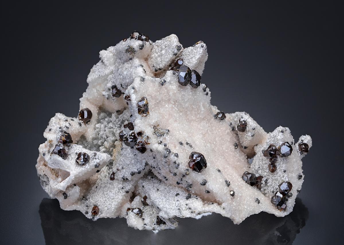 CC30061 specimen image