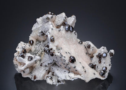 CC30061 specimen image