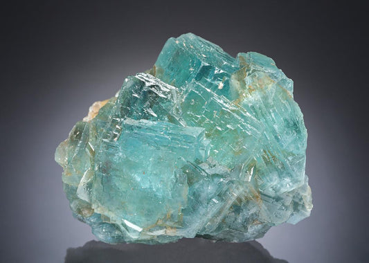 CC30065 specimen image