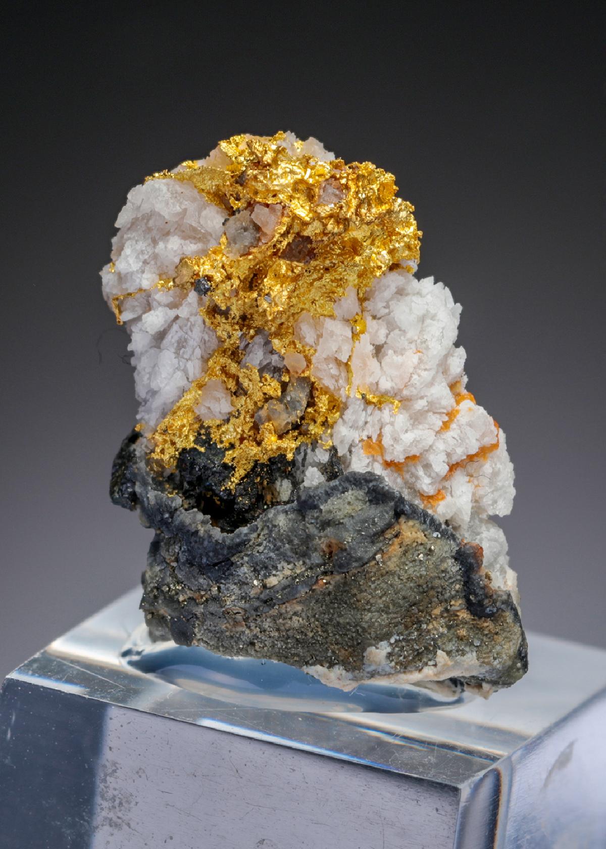CC30073 specimen image