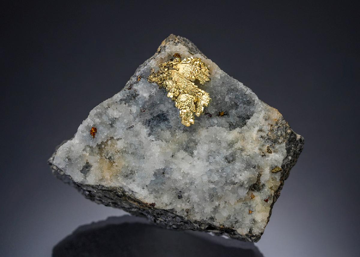 CC30079 specimen image
