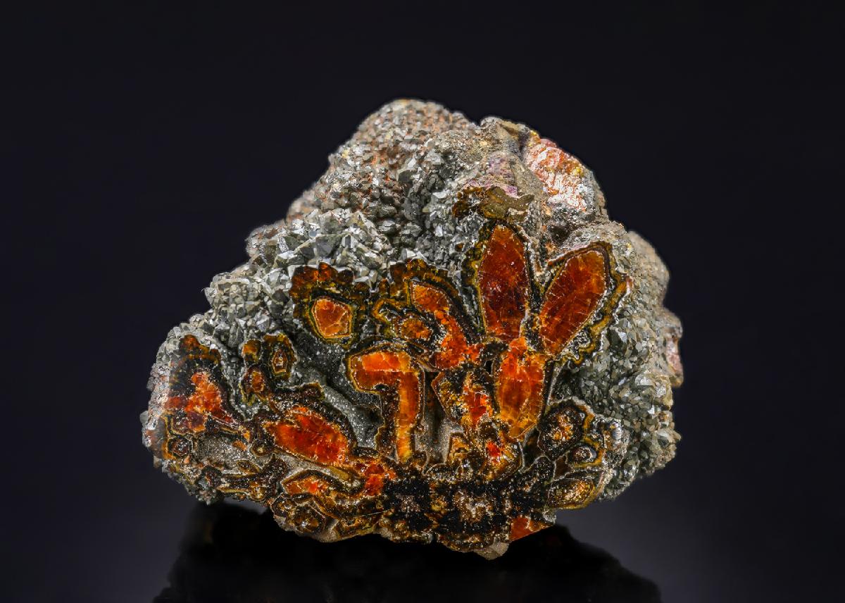CC30085 specimen image