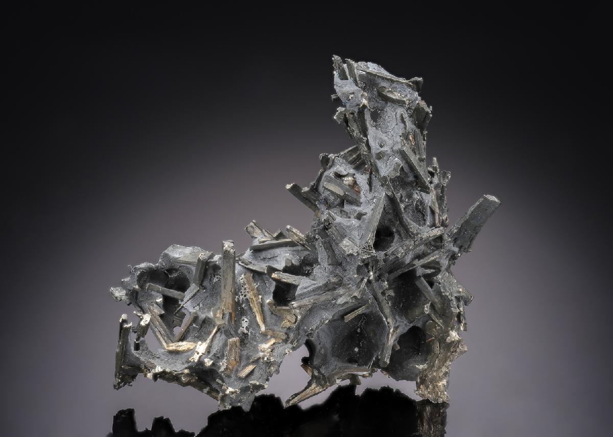 CC30091 specimen image