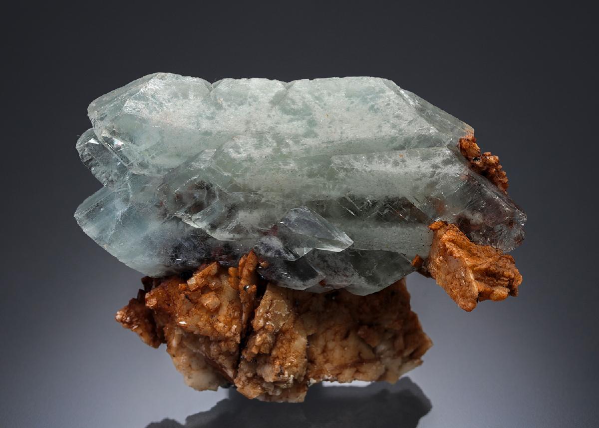 CC30093 specimen image