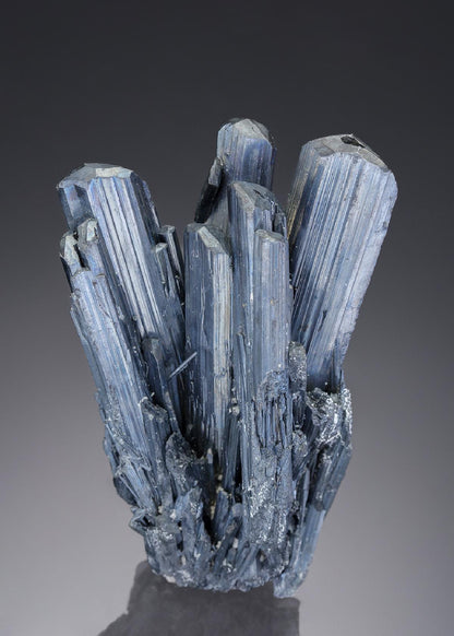 CC30103 specimen image