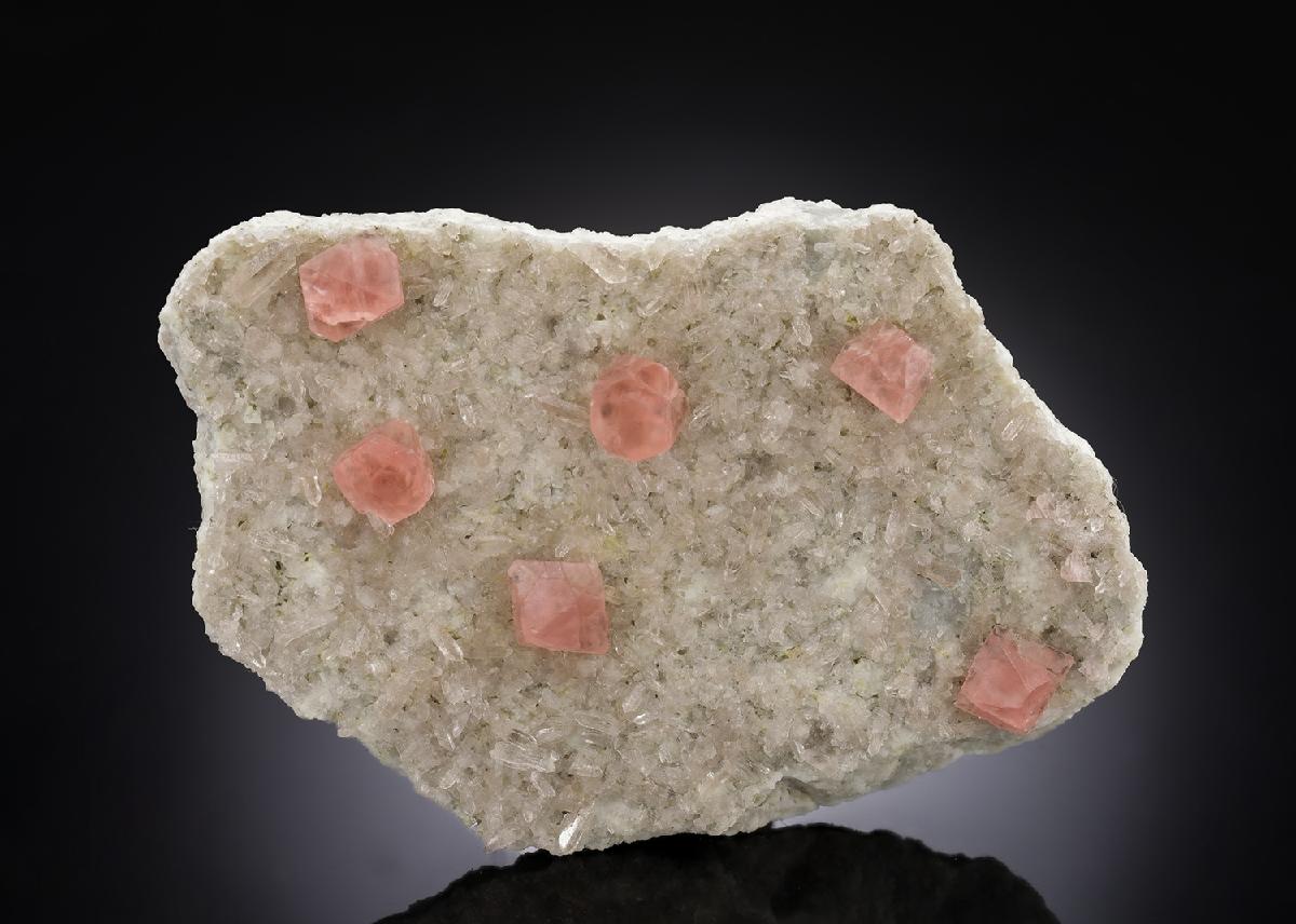 CC30111 specimen image