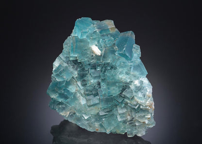 CC30121 specimen image