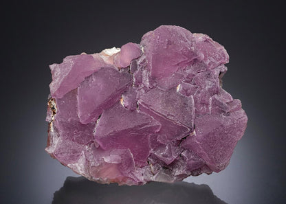 CC30123 specimen image