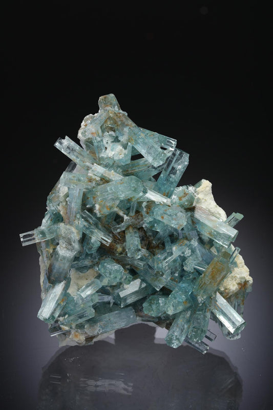 CC30171 specimen image