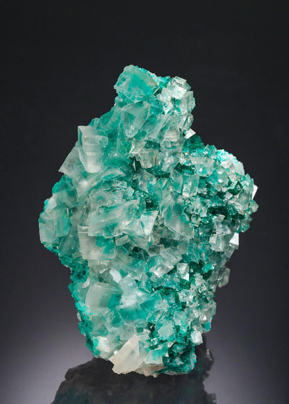 CC30199 specimen image