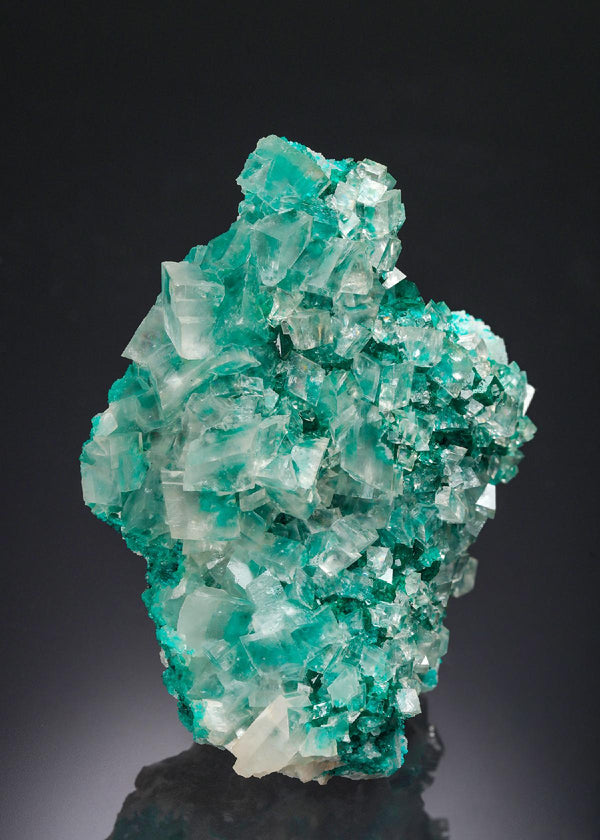 CC30199 specimen image