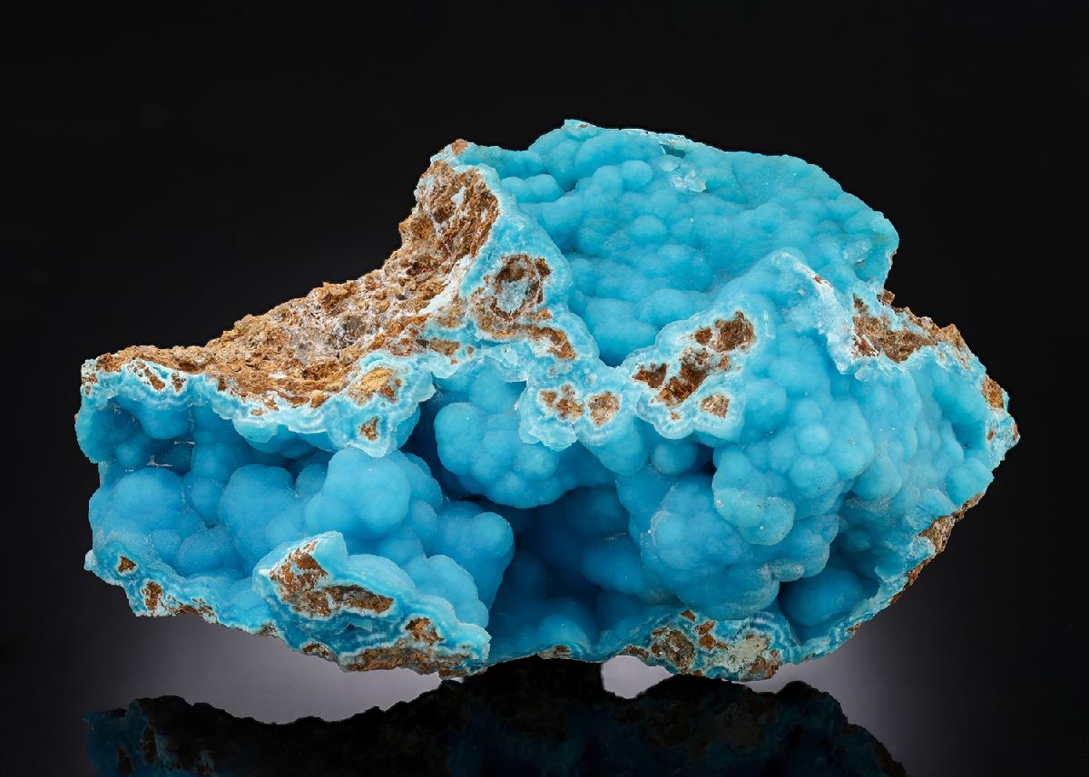 CC30275 specimen image