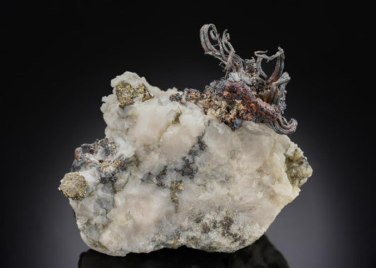 CC30279 specimen image