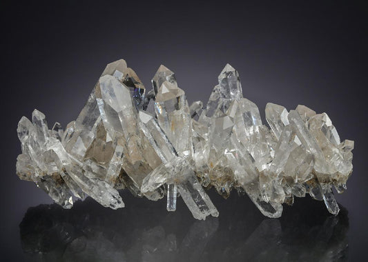 CC30283 specimen image