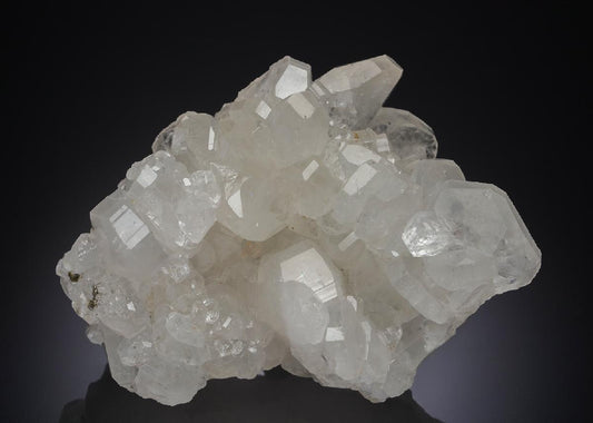 CC30285 specimen image