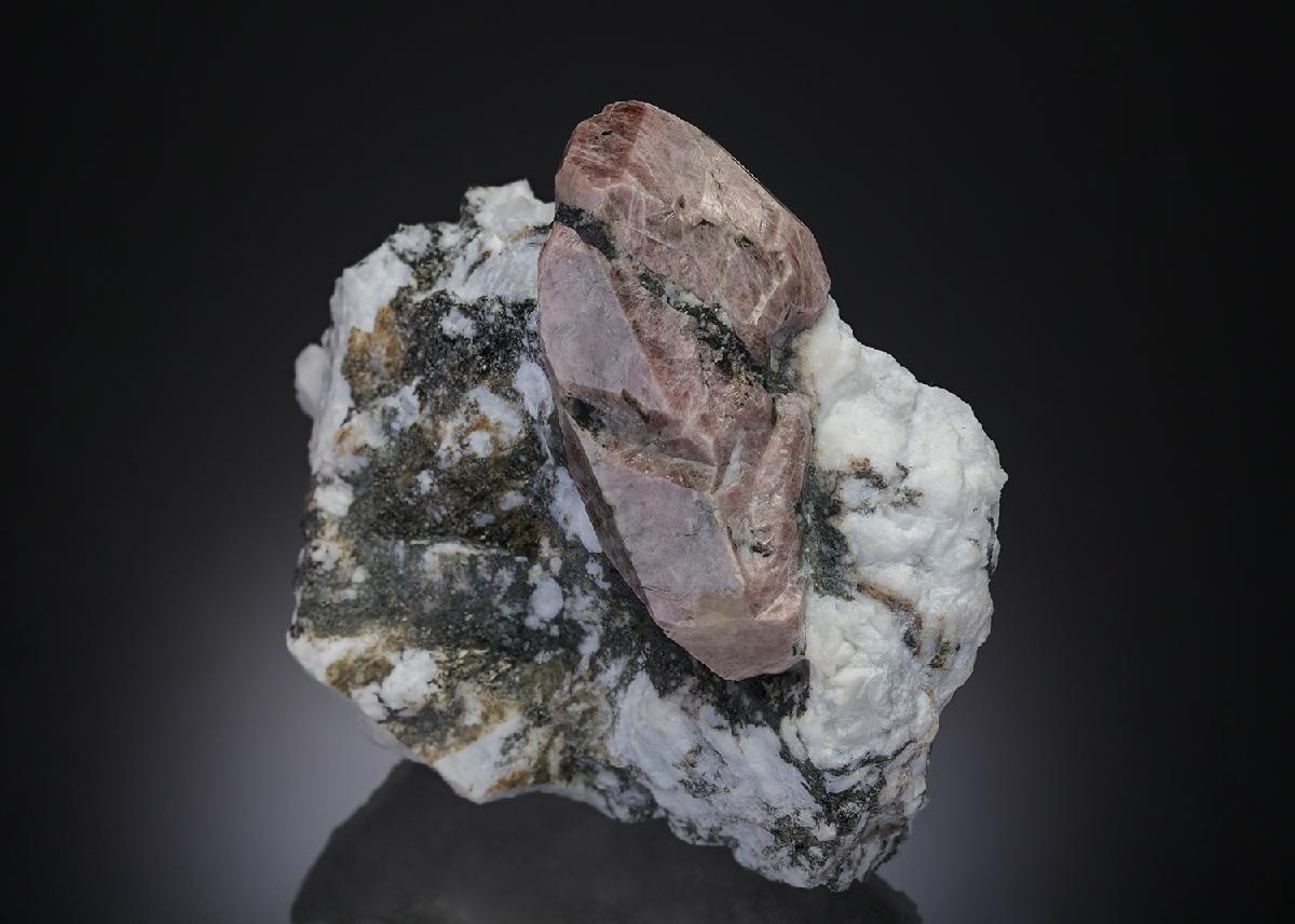 CC30293 specimen image