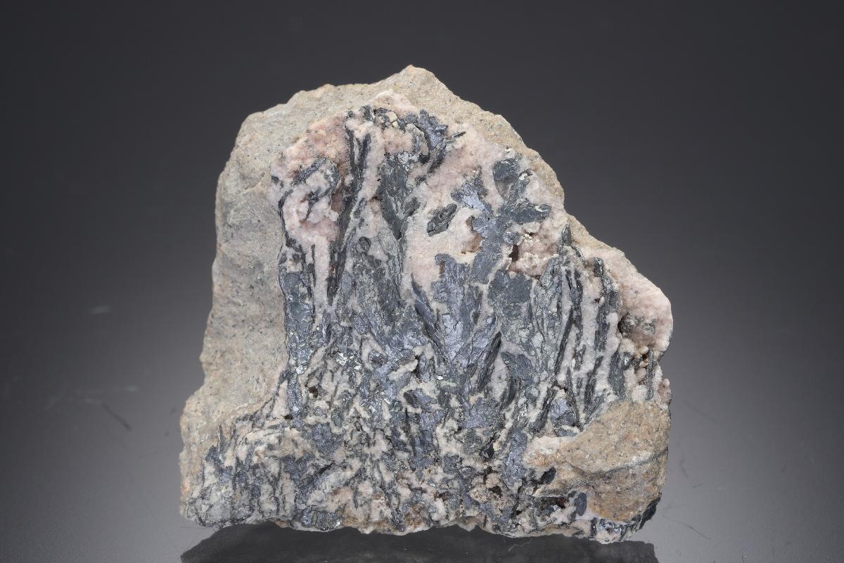 CC30341 specimen image