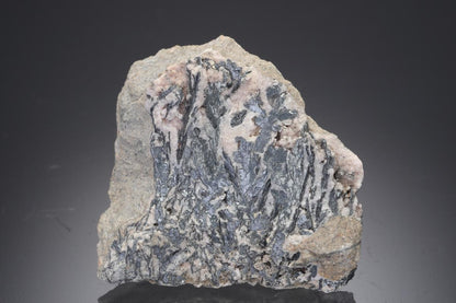 CC30341 specimen image