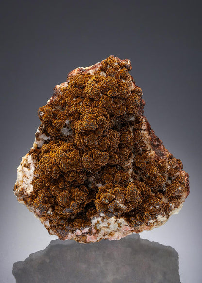 CC30343 specimen image