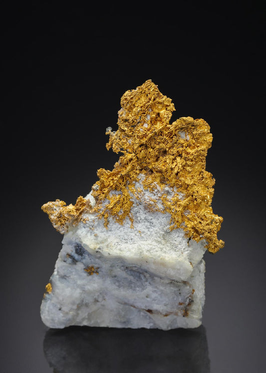 CC30345 specimen image