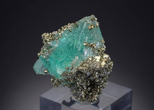 CC30361 specimen image