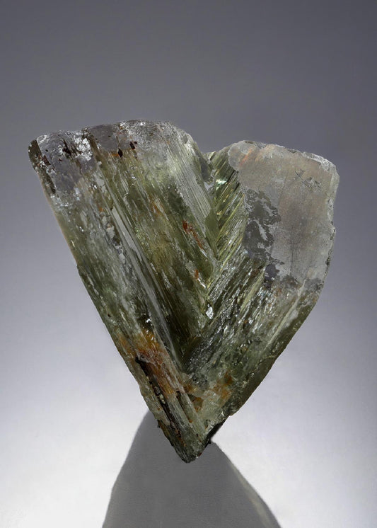 CC30369 specimen image