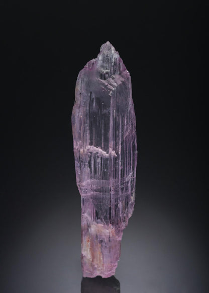 CC3037 specimen image