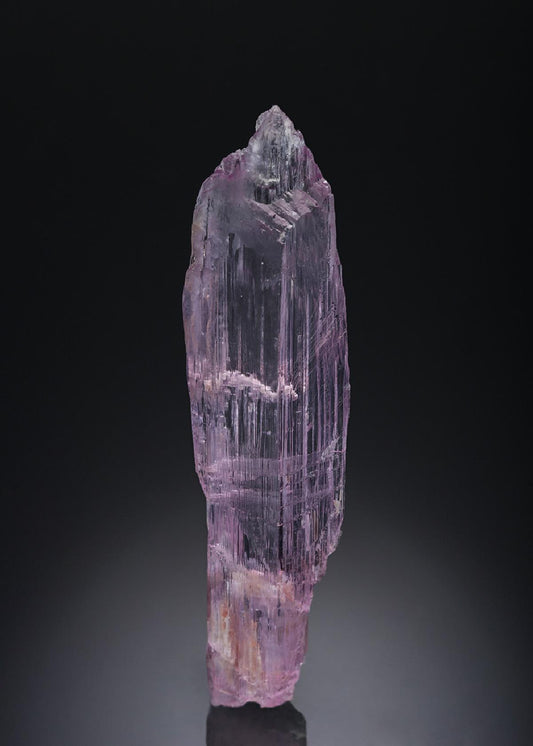 CC3037 specimen image