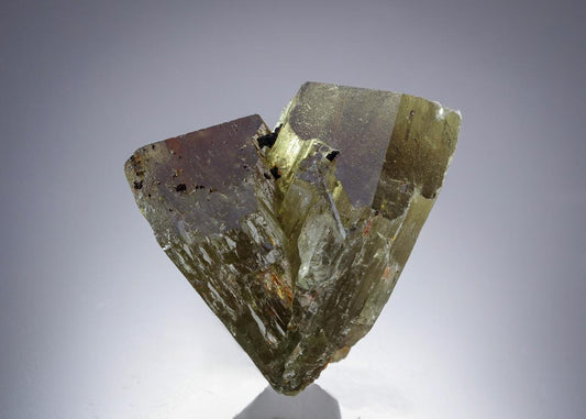 CC30371 specimen image