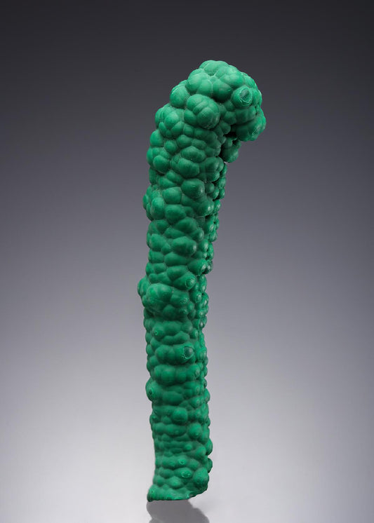 CC30373 specimen image