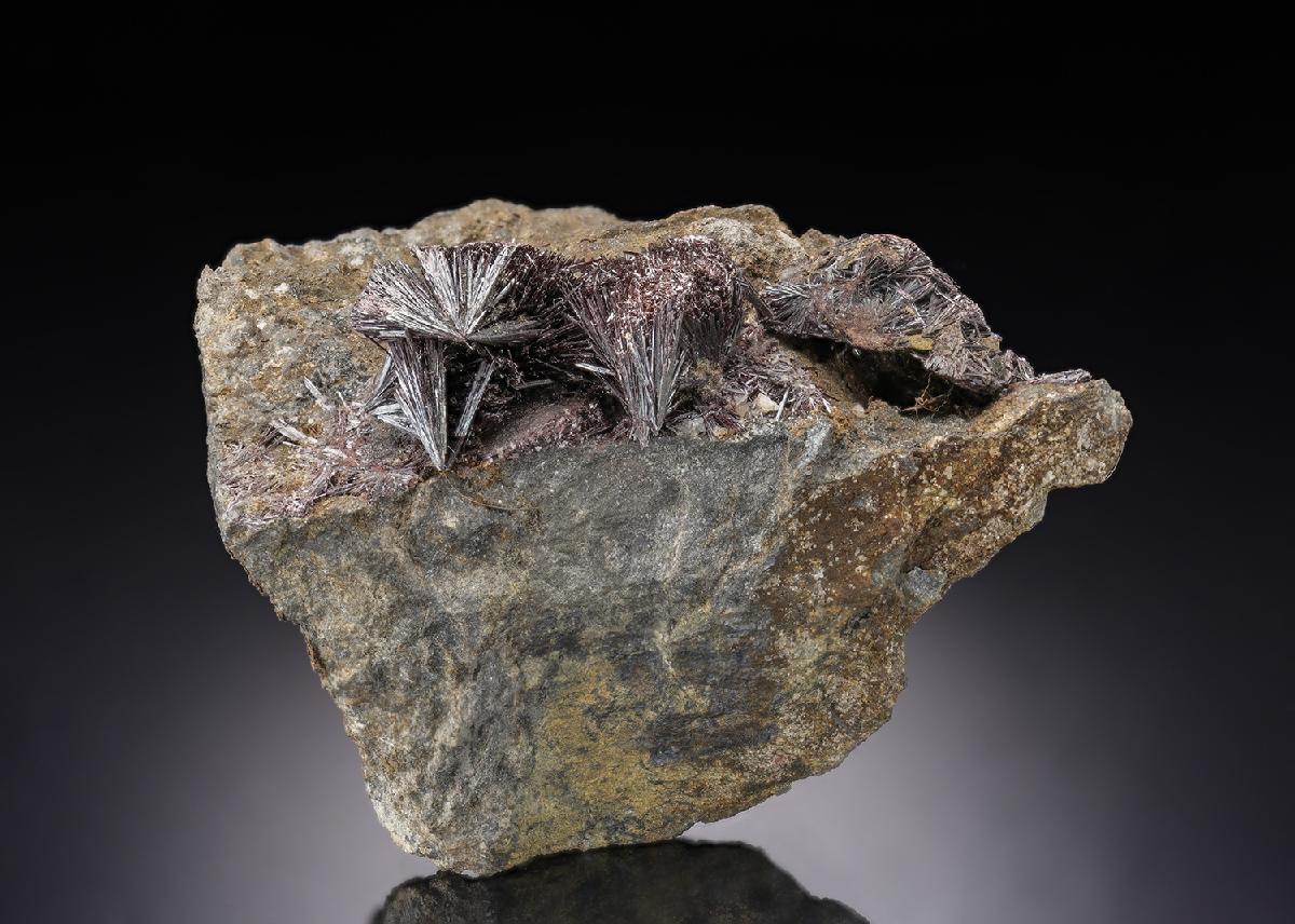 CC30393 specimen image
