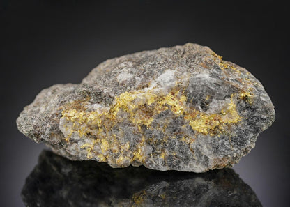 CC30399 specimen image