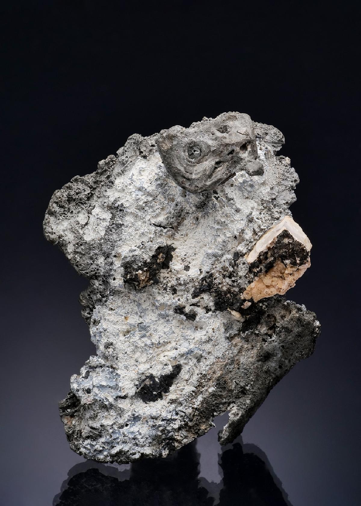 CC3041 specimen image