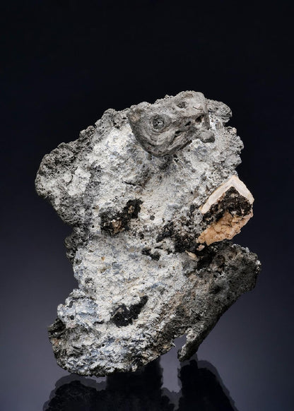 CC3041 specimen image