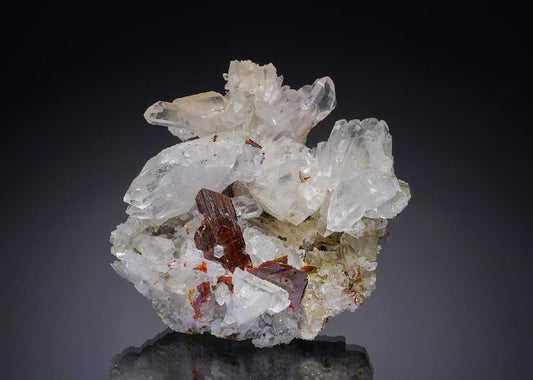 CC30423 specimen image
